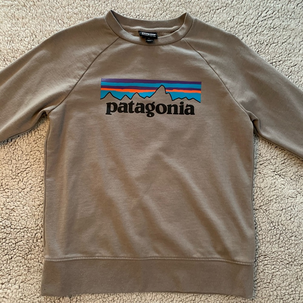 Patagonia Sweatshirt & 1/4 Zip Crown & Ivy Boy’s